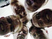 DSC00107.JPG