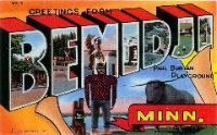 bemidjicard