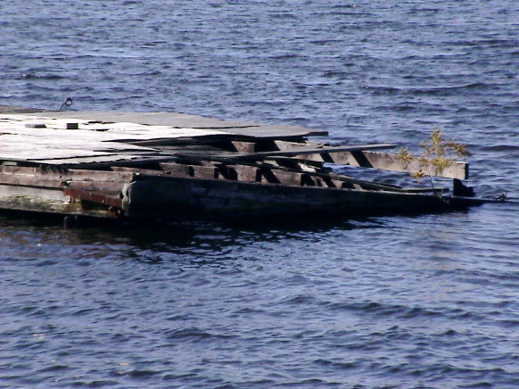 DSC00160.JPG