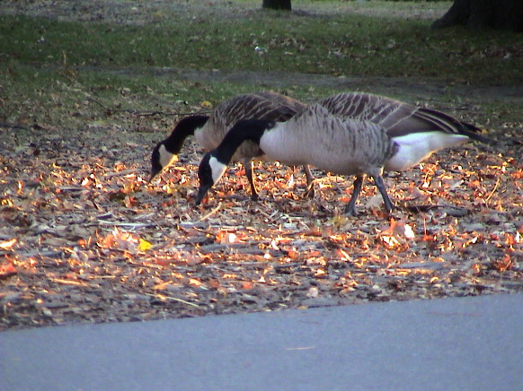 DSC00068.JPG