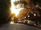 DSC00056.JPG
