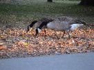 DSC00068.JPG