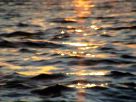 DSC00081.JPG