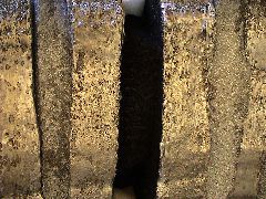 DSC00039.JPG
