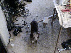 DSC00050.JPG