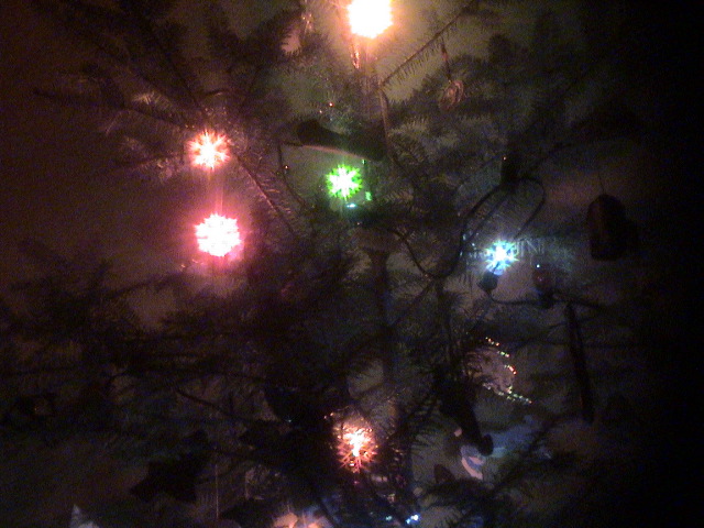 Our little tree looks pretty nice.