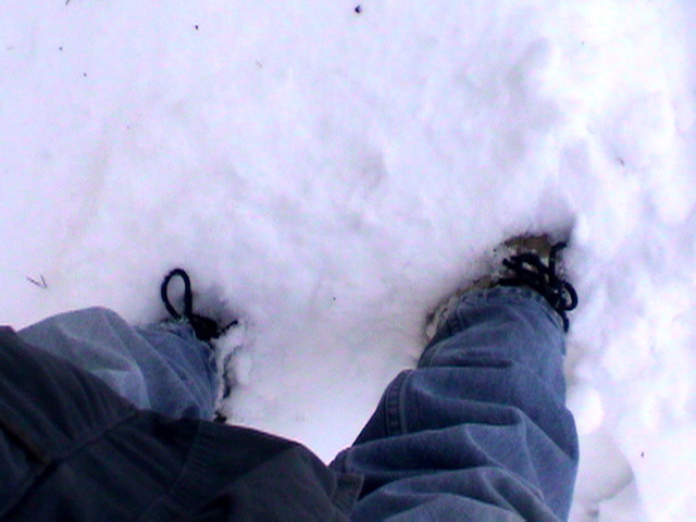 The snow is only a few inches deep.