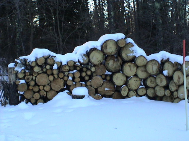 Dad splits wood in the summer to burn in the winter.