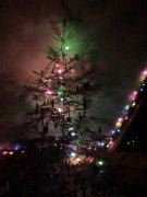 The branches stuck so far out into the room that we barely had room to sit!