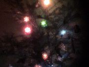 Our little tree looks pretty nice.