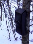 This is the Bear's mailbox. He gets postcards every once in a while.