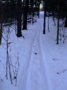 Dad clears a cross-country ski trail out through the woods.