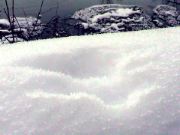 Bunny tracks in the snow.