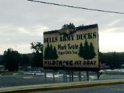 We're driving through one of my favorite tourist heavens...