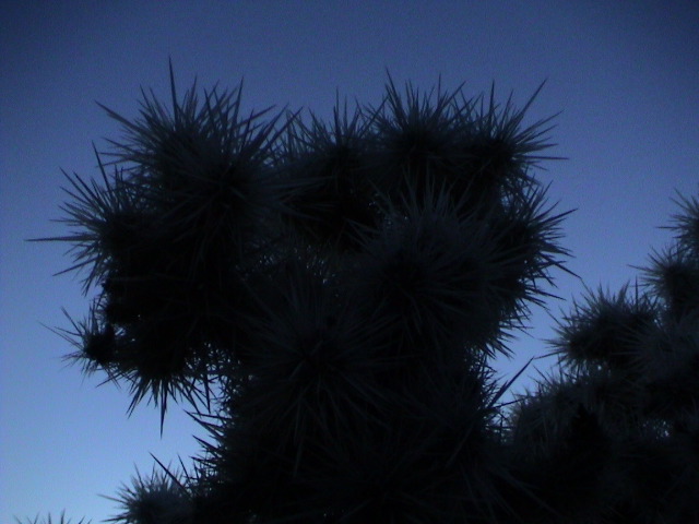 DSC00147.JPG