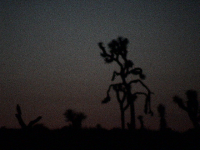 DSC00164.JPG