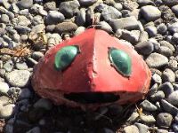 DSC00166.JPG