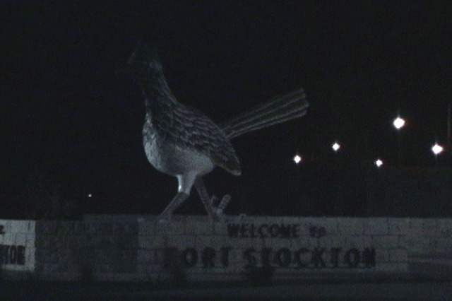 roadrunner