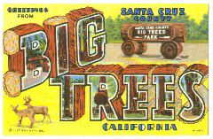 postcards006